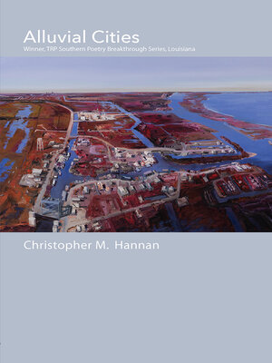 cover image of Alluvial Cities